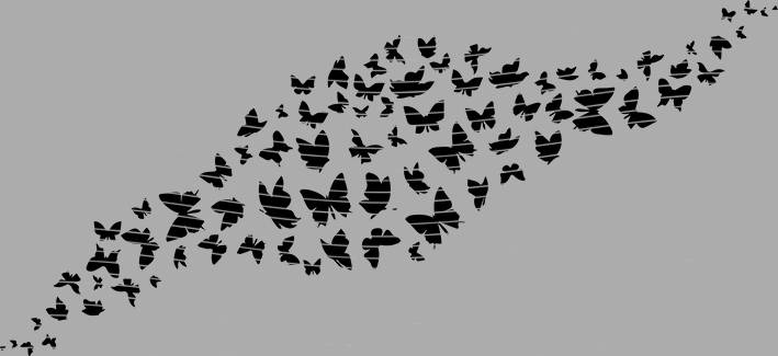 16oz Element-EN-2273